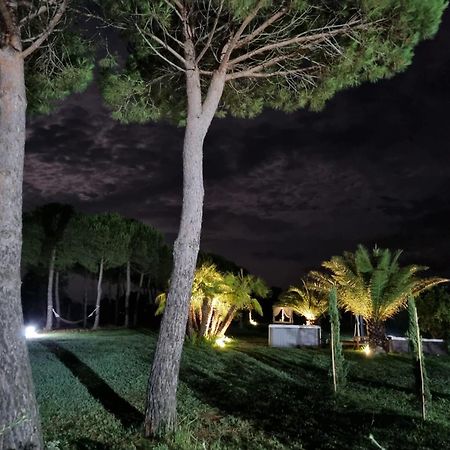 Agriturismo La Pergola Castiglione del Lago Bagian luar foto