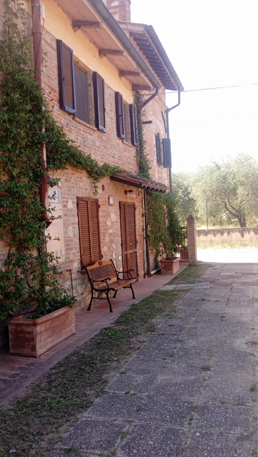 Agriturismo La Pergola Castiglione del Lago Bagian luar foto