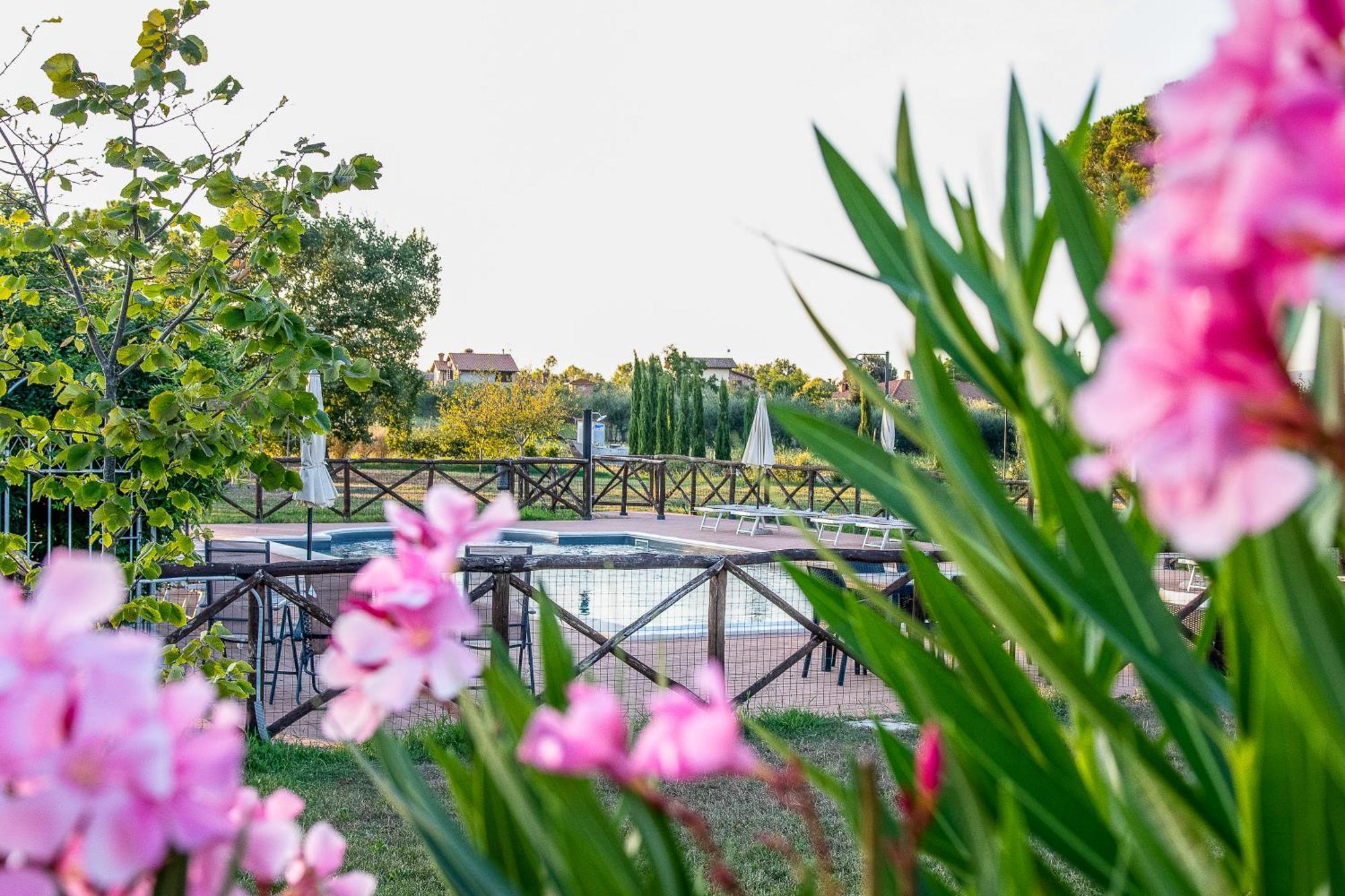 Agriturismo La Pergola Castiglione del Lago Bagian luar foto